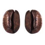 Boucle d'oreille grain de café