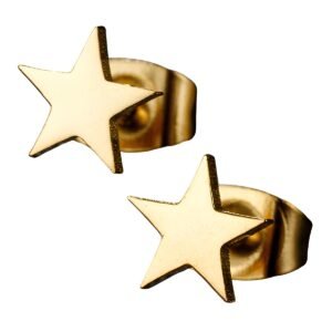 Boucle d'oreille puce etoile